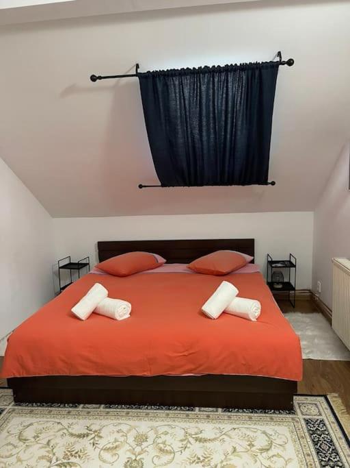 Apartament La Casa 蒂米什瓦拉 外观 照片